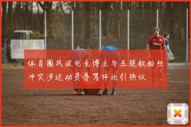 体育圈风波电竞博主与王楚钦粉丝冲突涉运动员辱骂评论引热议