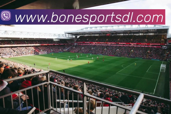 必一运动APP 高清赛事图