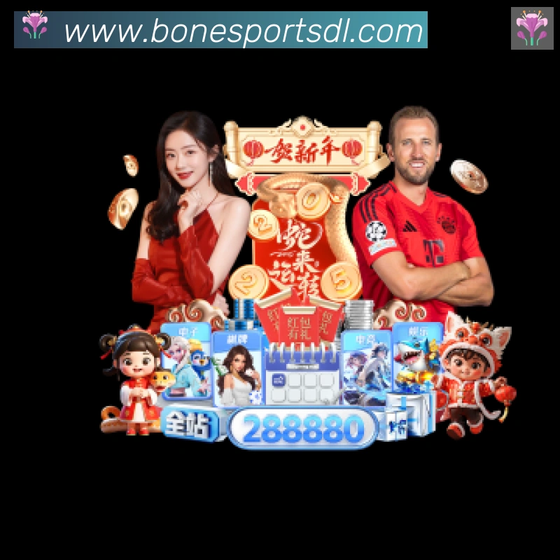 奖项证书