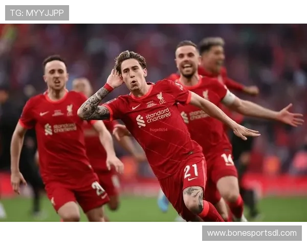 德甲联赛中曾夺得欧冠冠军的球队介绍 德甲联赛中曾夺得欧冠冠军的球队介绍